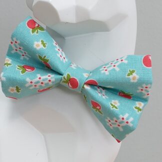 Cat Bow Tie and Collar - Apple Picking