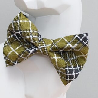 Cat Bow Tie and Collar - Plaid Olive Green