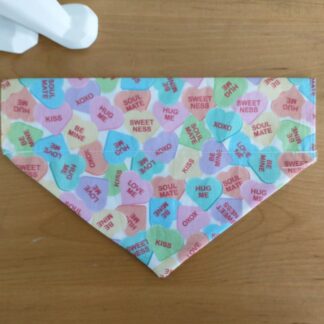 Valentine's Day Cat Bandana - Conversation Hearts