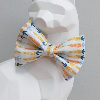 Easter Cat Bow Tie and Collar - Carrots
