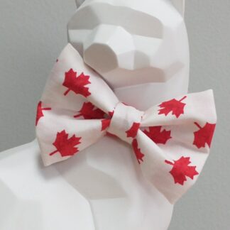 Canada Day Cat Bow Tie and Collar - Maple Leaves