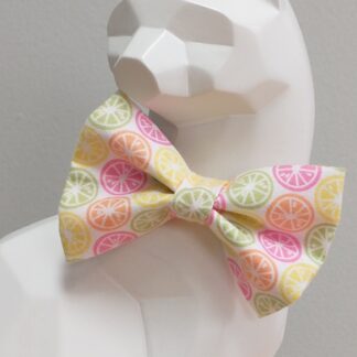 Cat Bow Tie and Collar - Citrus