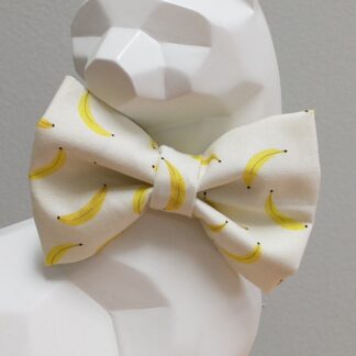 Cat Bow Tie and Collar - Go Bananas