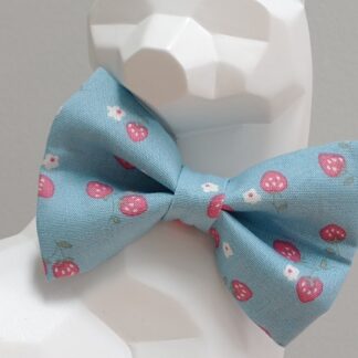 Cat Bow Tie and Collar - Strawberry Field