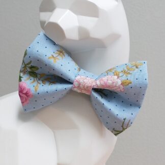 Cat Bow Tie and Collar - What in Carnation?