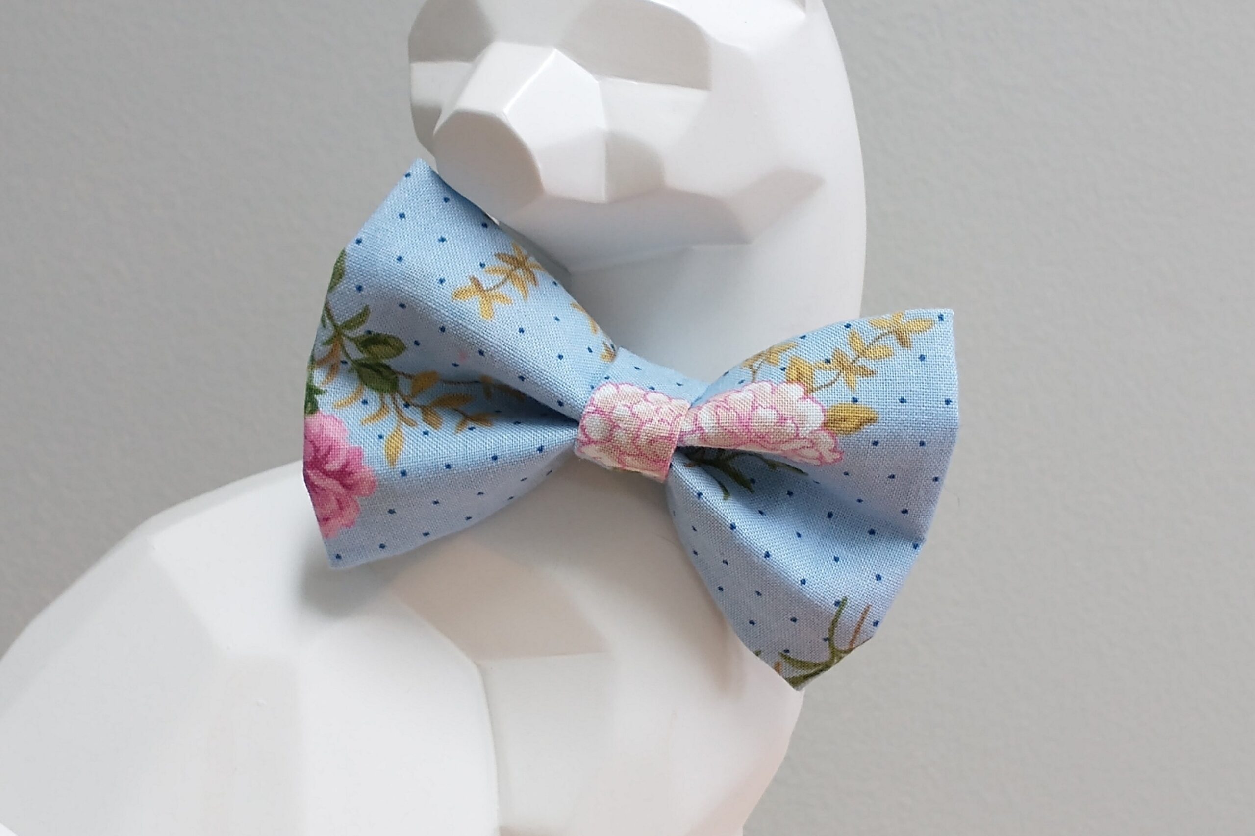 Cat Bow Tie and Collar - What in Carnation?