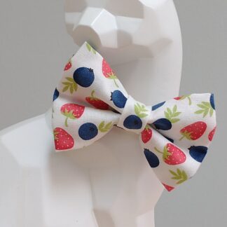 Cat Bow Tie and Collar - Summer Berries
