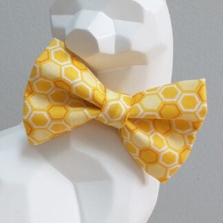 Cat Bow Tie and Collar - Beehive