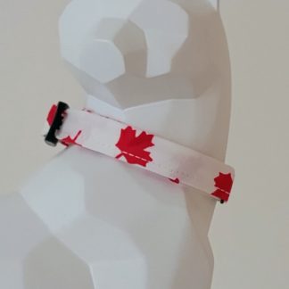 Canada Day Kitten Collar - Maple Leaves