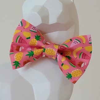 Cat Bow Tie and Collar - Summa Flava